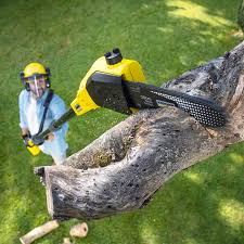 Artificial Turf Installation in Flemington, NJ